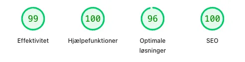 Ægte PageSpeed-resultat for louimicheletti.dk, 95+ i alle fire parametre