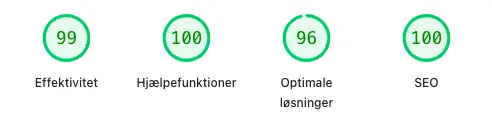 Ægte PageSpeed-resultat for louimicheletti.dk, 95+ i alle fire parametre