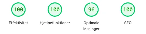 Ægte PageSpeed-resultat for louimicheletti.dk, 95+ i alle fire parametre